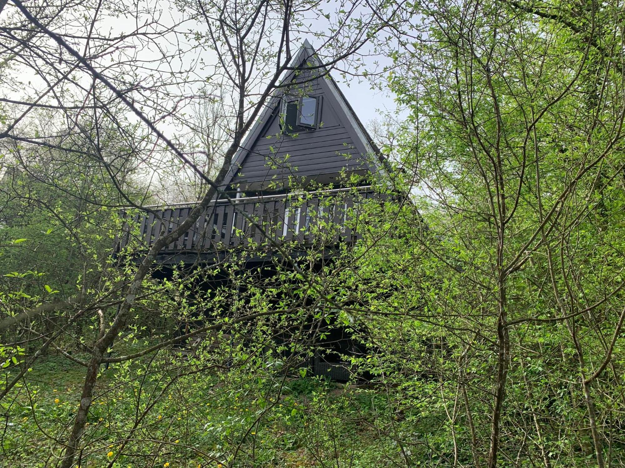 Heerlijk Vakantiehuis In Bos Bij Durbuy Exterior photo